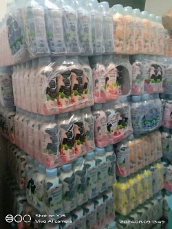 Alpha Yogurt Storage